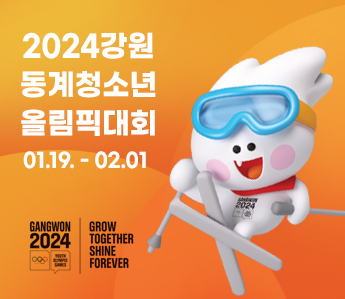 2024 동계청소년올림픽 팝업요청